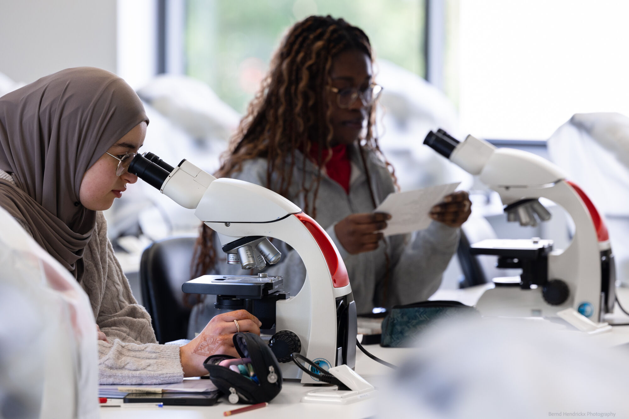 histologie-bachelorBMW-11.jpg