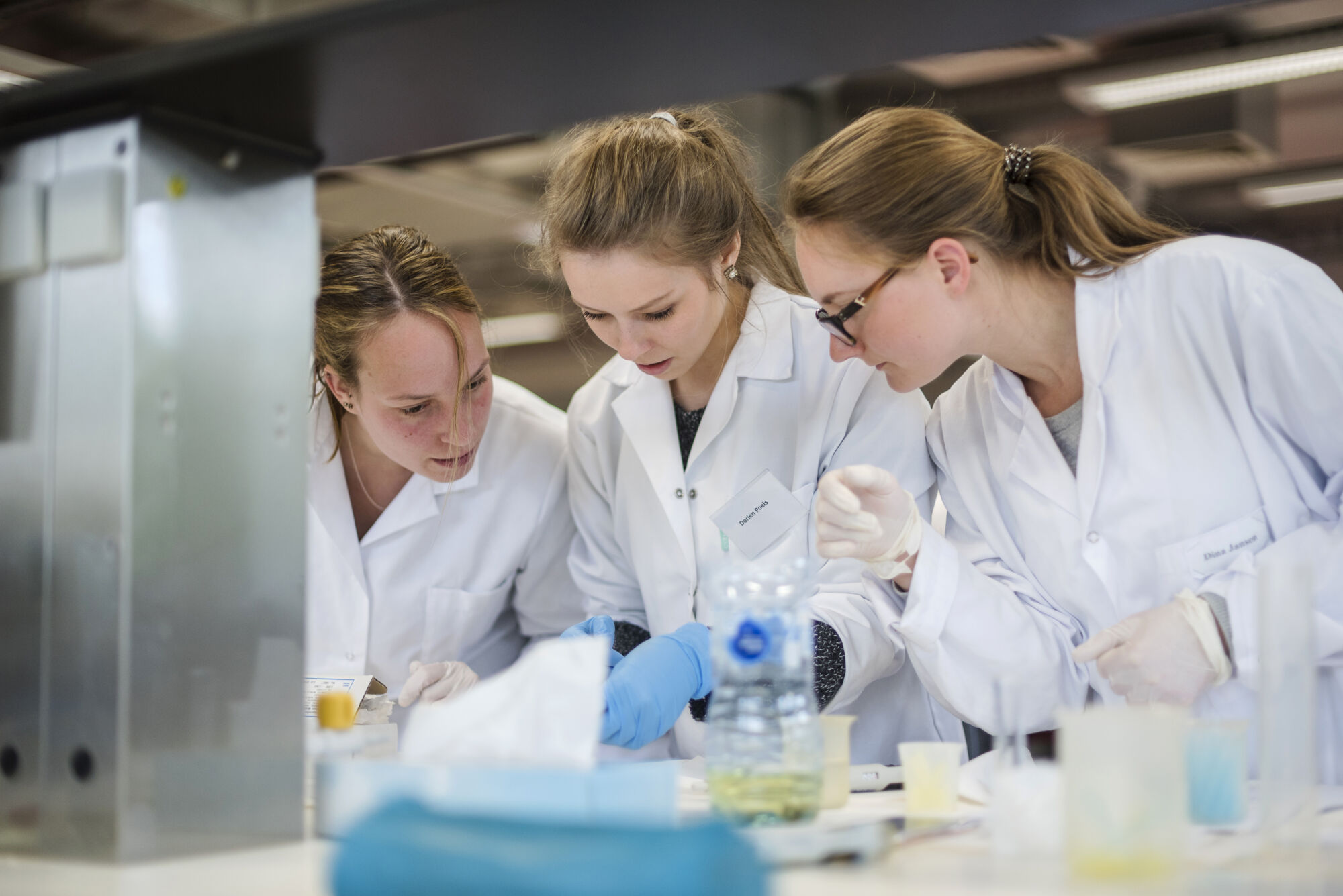 Practicum diergeneeskunde 2017 (14).jpg