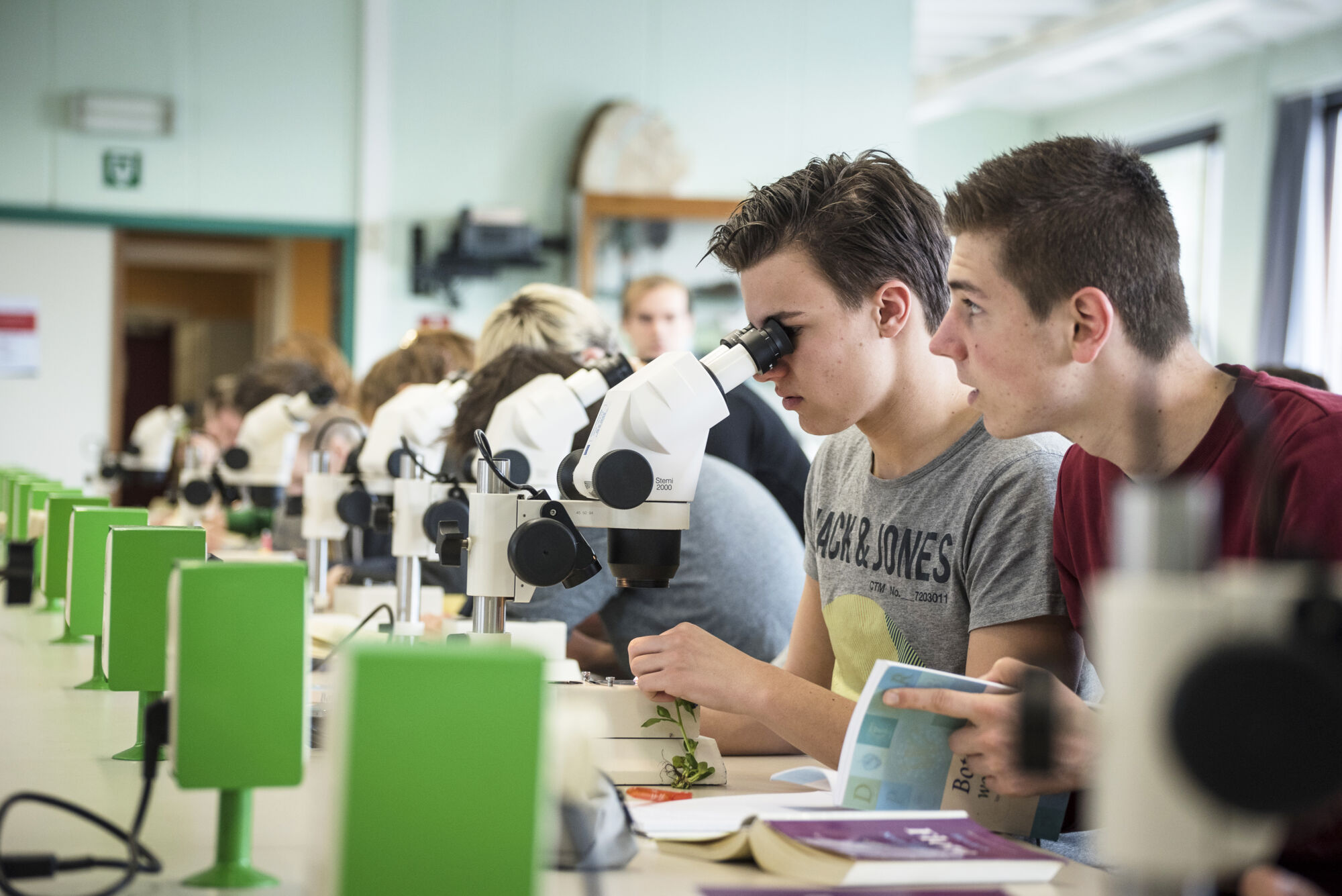 Biologie - Plantenkunde 2016 (14).jpg