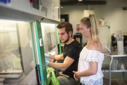 Biochemie - geïntegreerd practicum