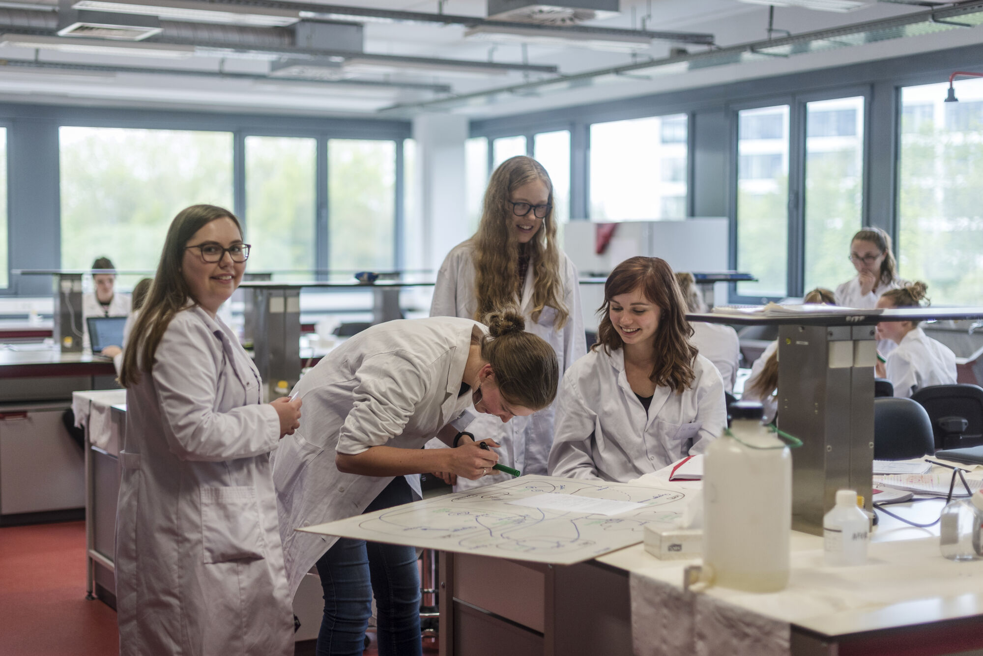 Metabolisme practicum diergeneeskunde (22).jpg