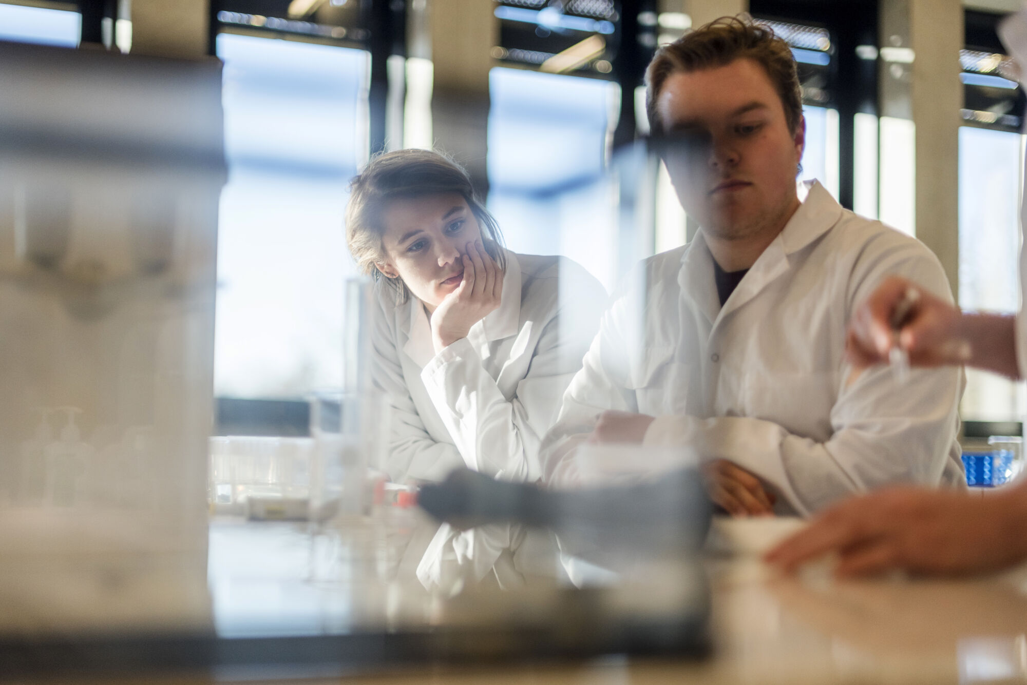 Biologie practicum (13).jpg