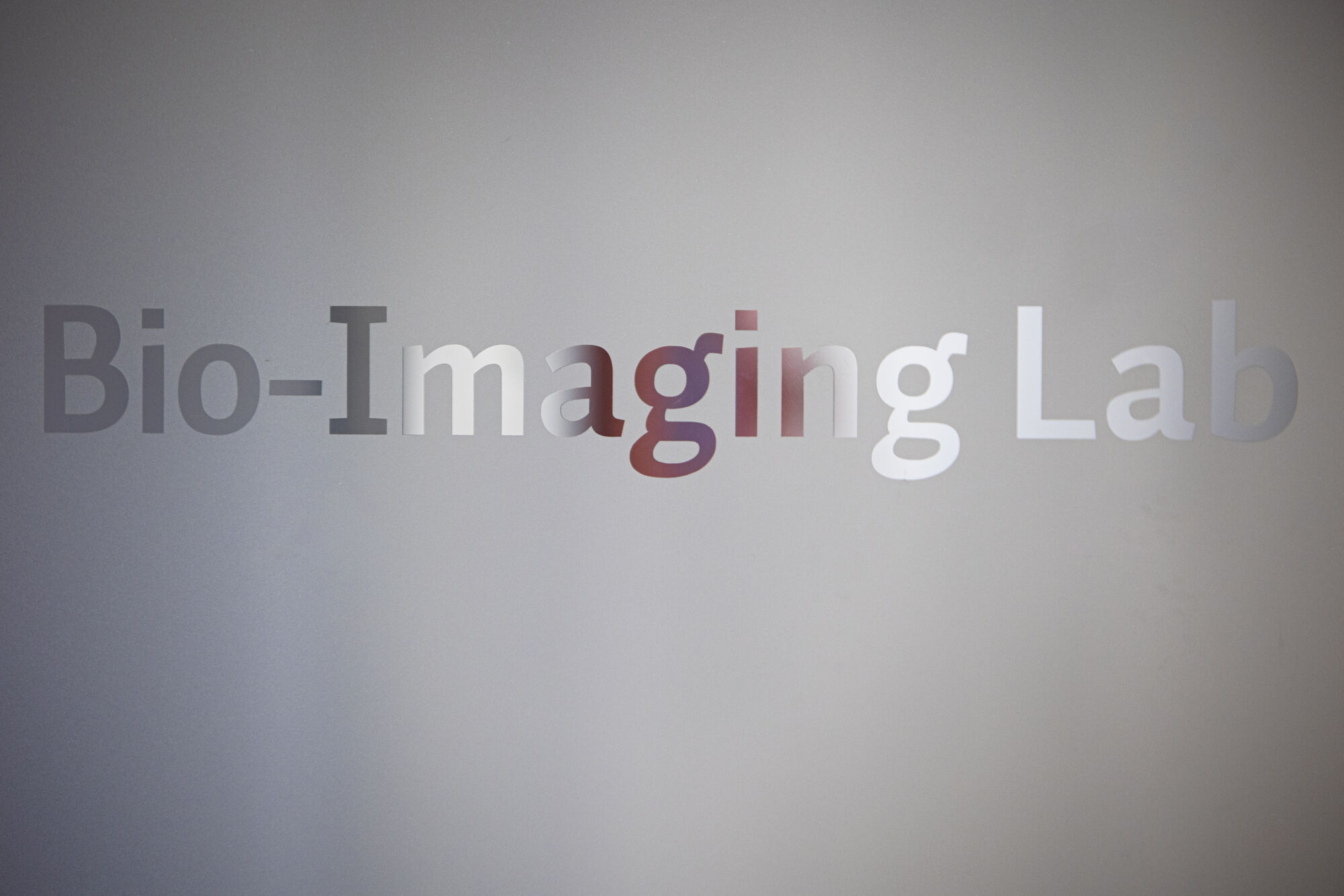 Bio-Imaging Lab (8).jpg