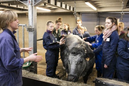 Studenten diergeneeskunde 2017 (15)