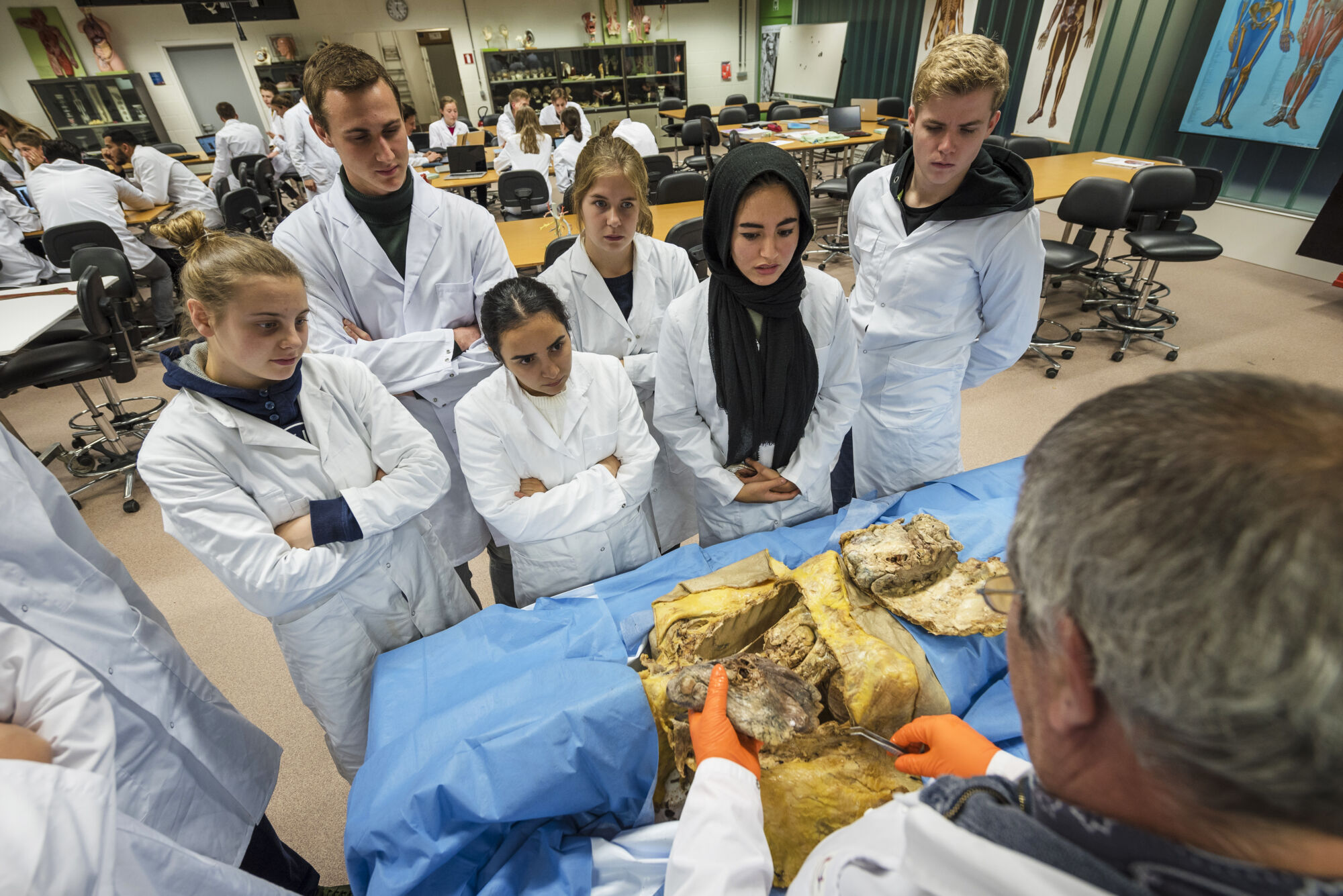 Anatomiepracticum geneeskunde (44).jpg