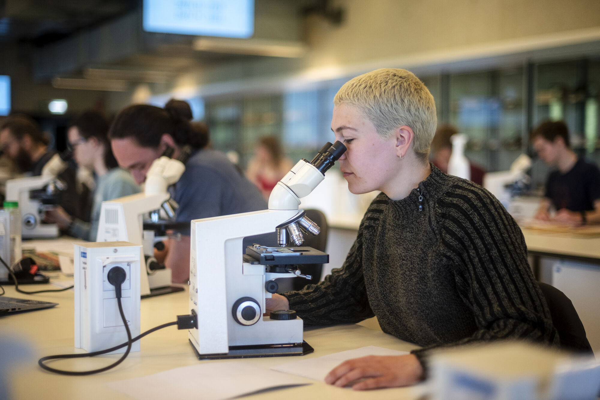 Biologie - Vorm en functie - Microscopie (7).jpg