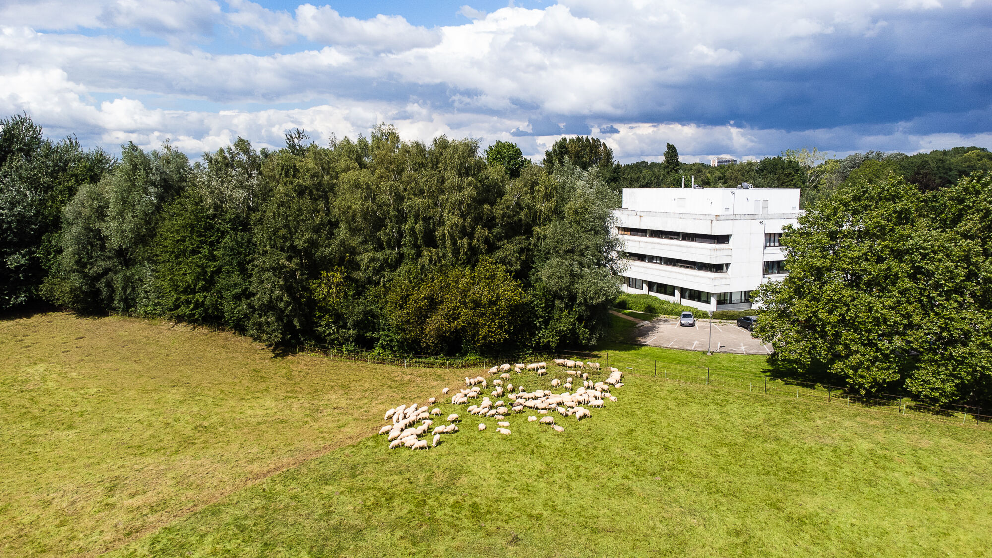Biodiversiteit UAntwerpen 2021 (2).jpg