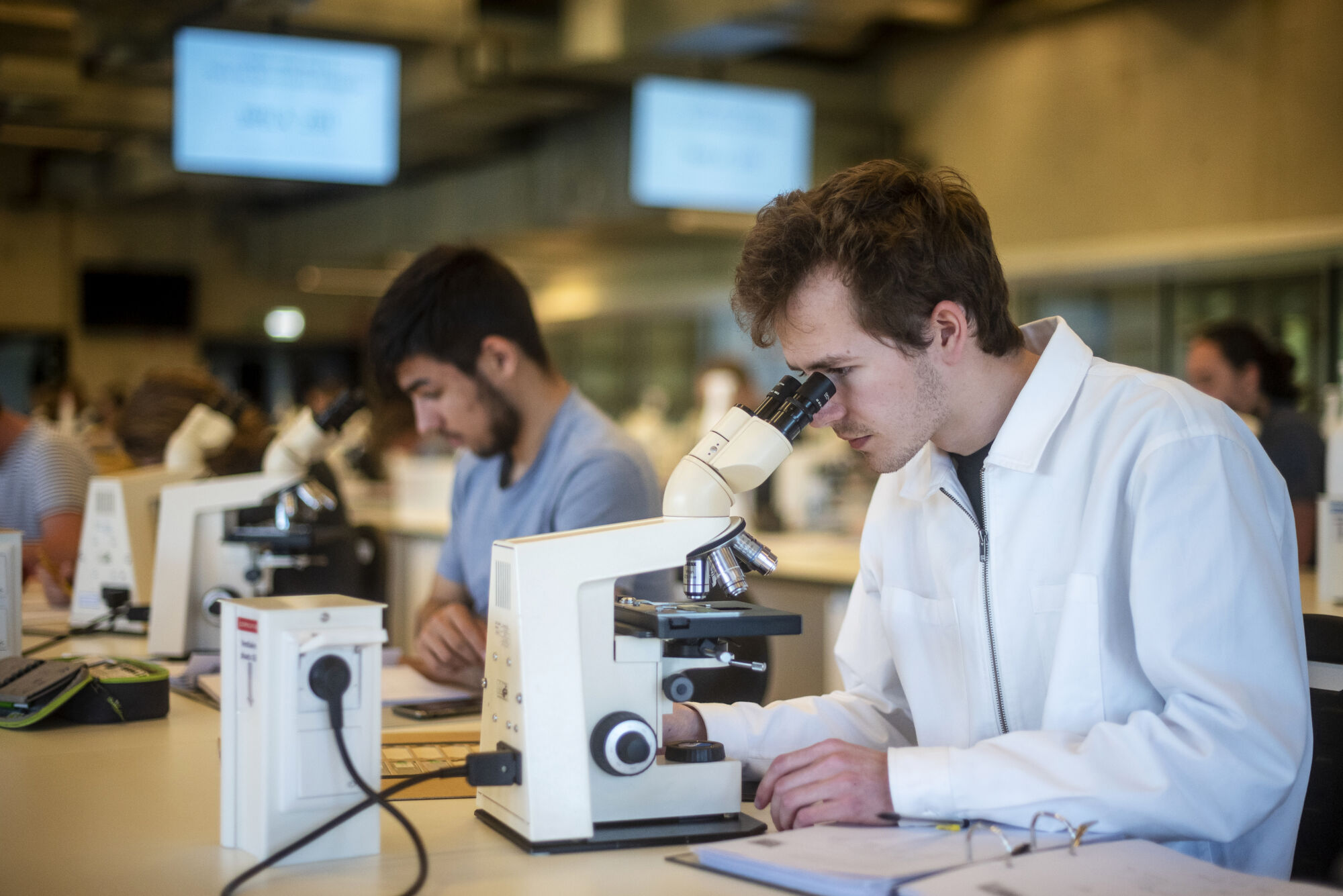 Biologie - Vorm en functie - Microscopie (21).jpg