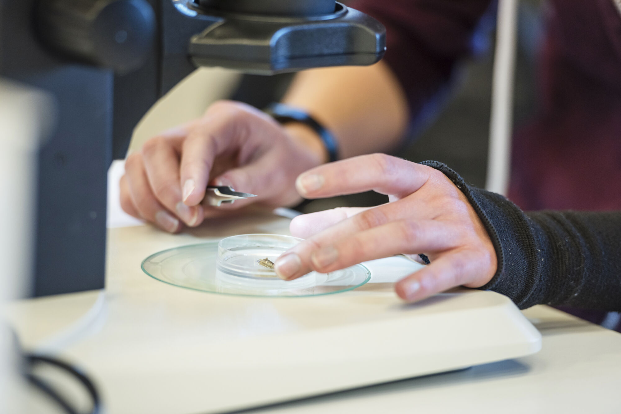 Biologie practicum (15).jpg