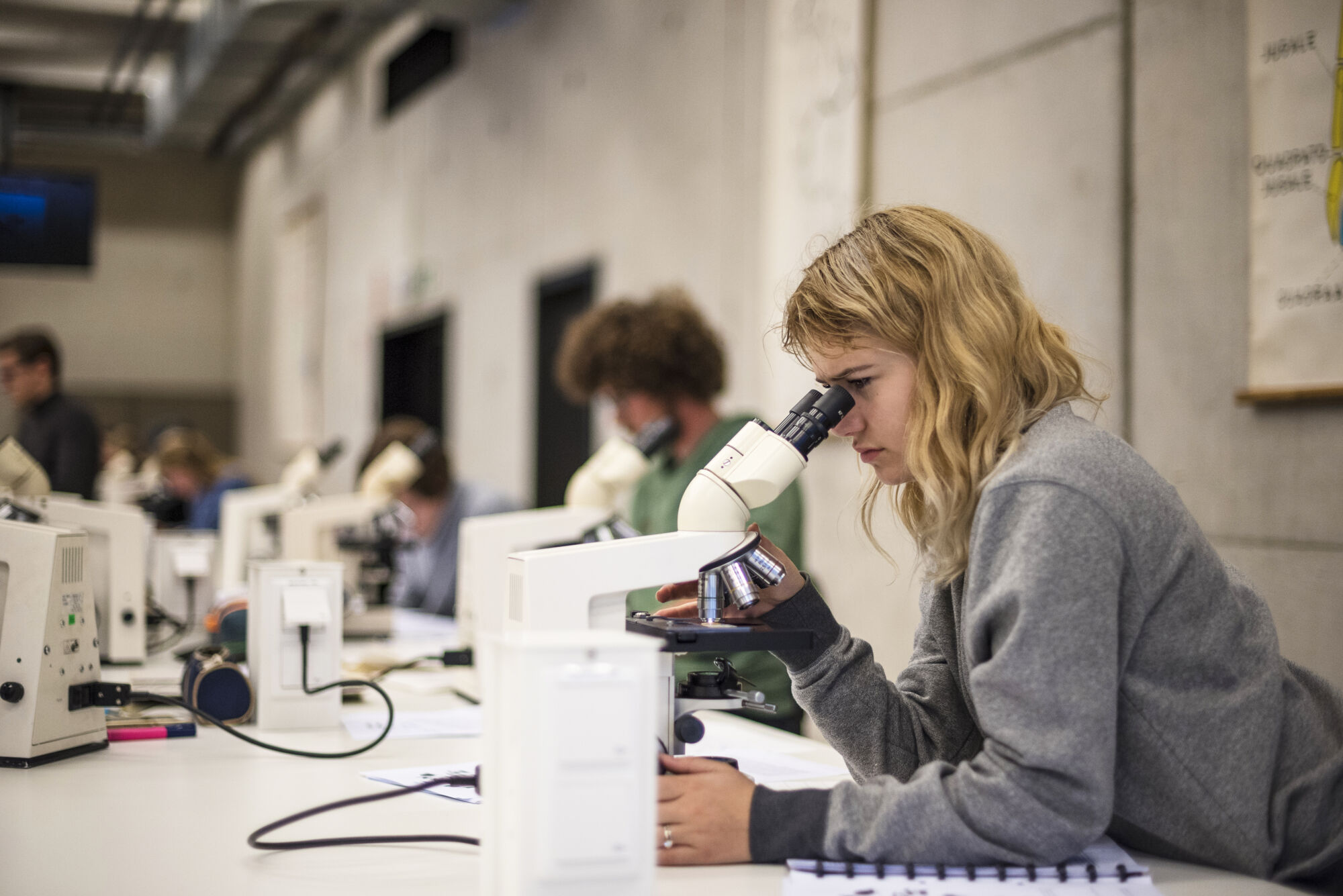 Practicum Biodiversiteit en functie (51).jpg