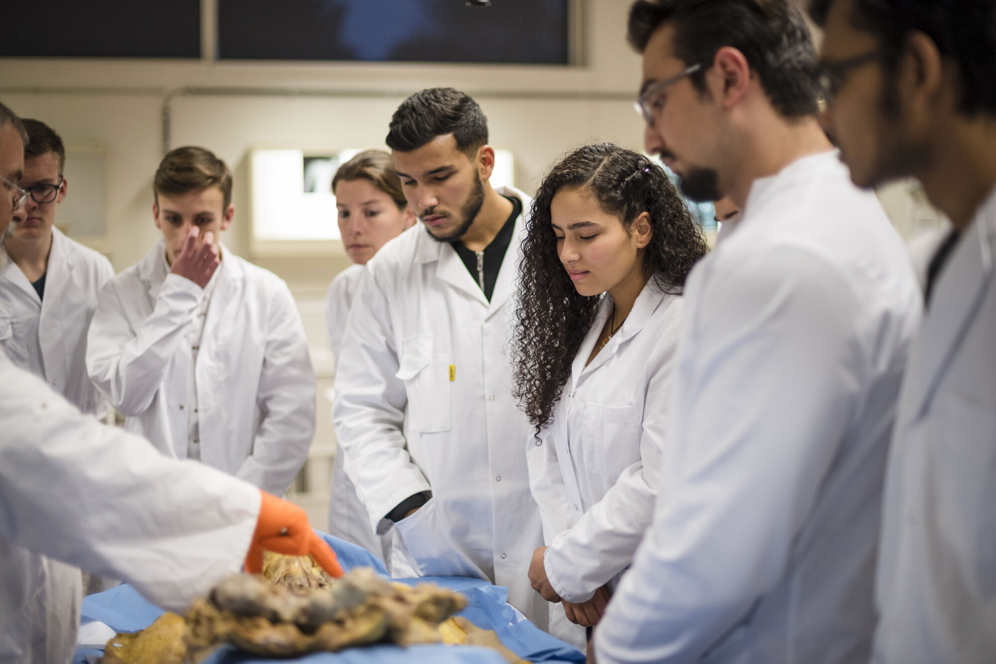 Anatomiepracticum geneeskunde (13).jpg