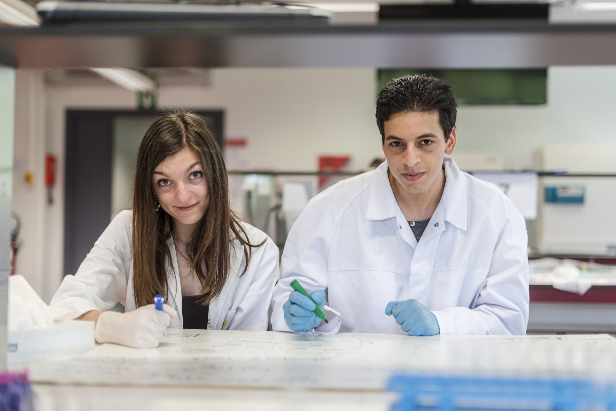 Metabolisme practicum diergeneeskunde (26).jpg
