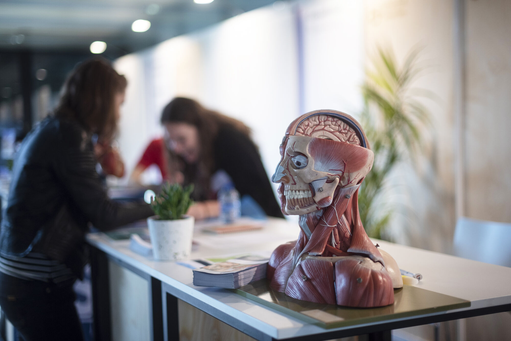 Infodag Universiteit Antwerpen (17).jpg