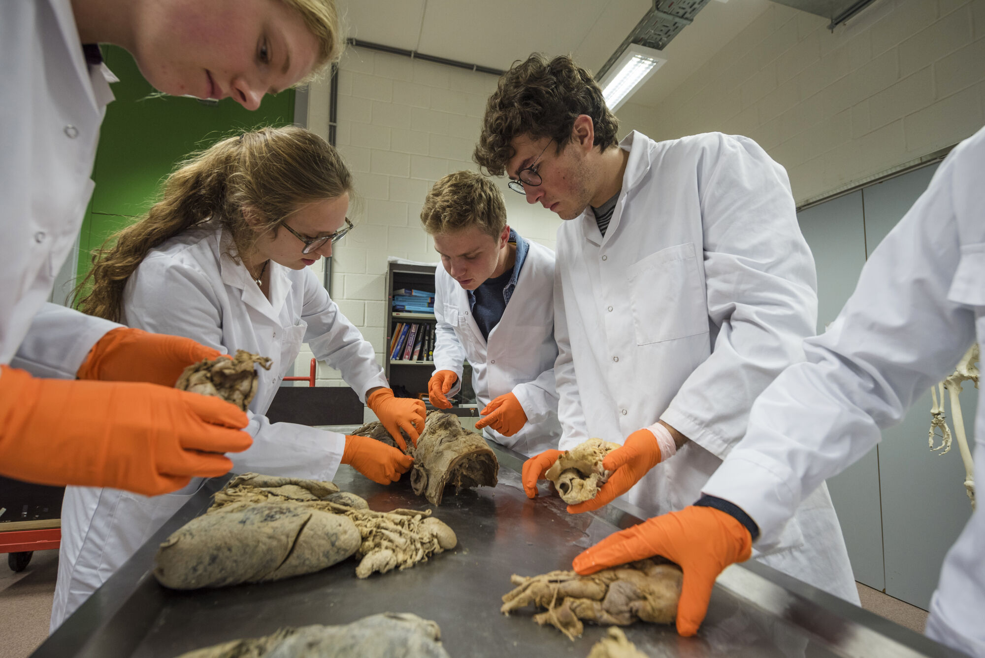 Anatomiepracticum geneeskunde (38).jpg