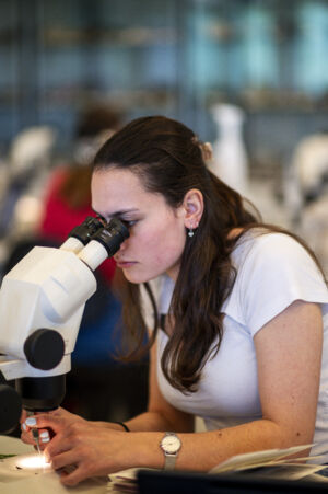 Biologie practicum