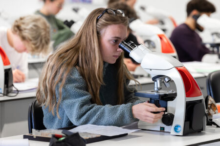 histologie-bachelorBMW-21.jpg