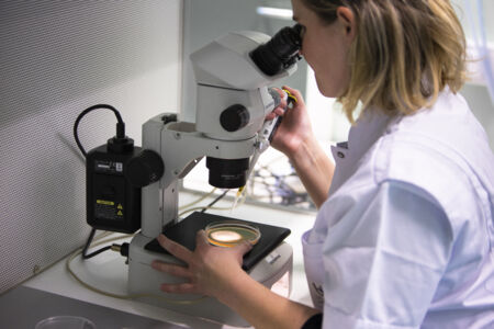 Veterinaire Fysiologie (10).jpg