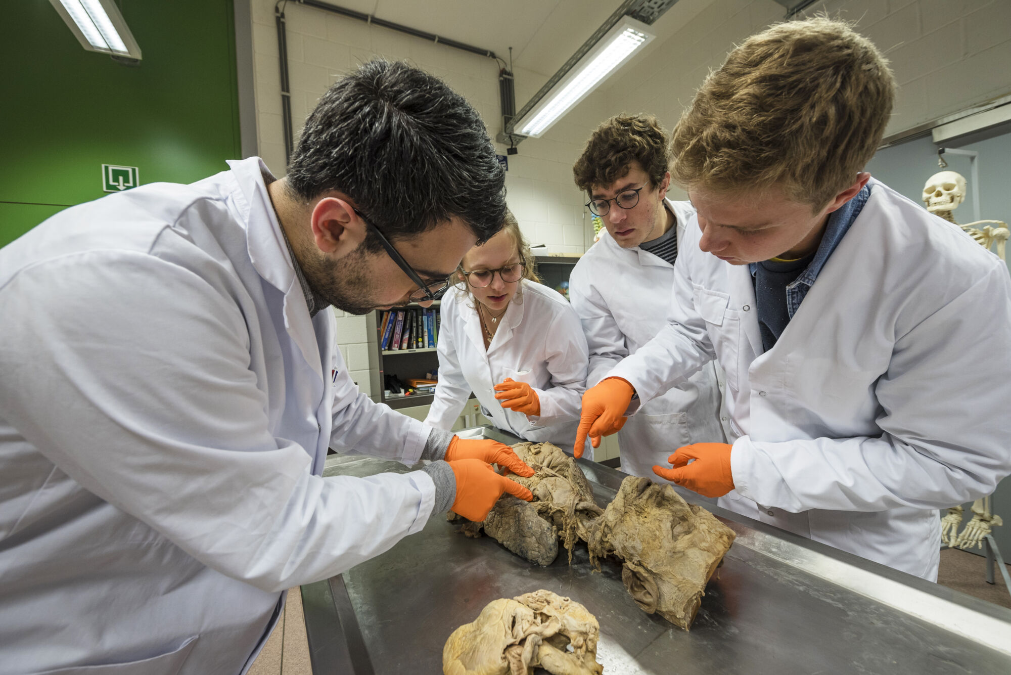 Anatomiepracticum geneeskunde (40).jpg