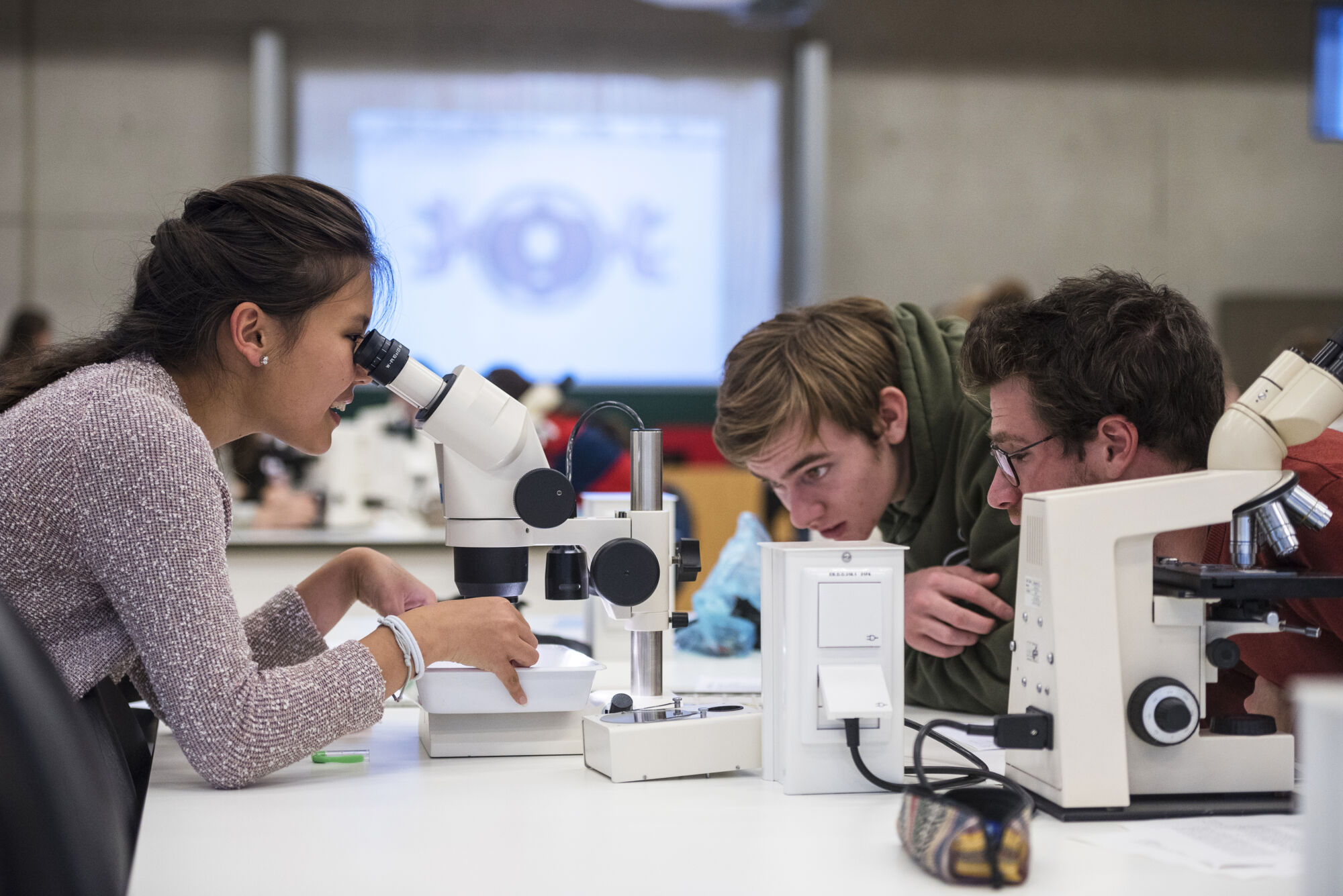 Practicum Biodiversiteit en functie (2).jpg