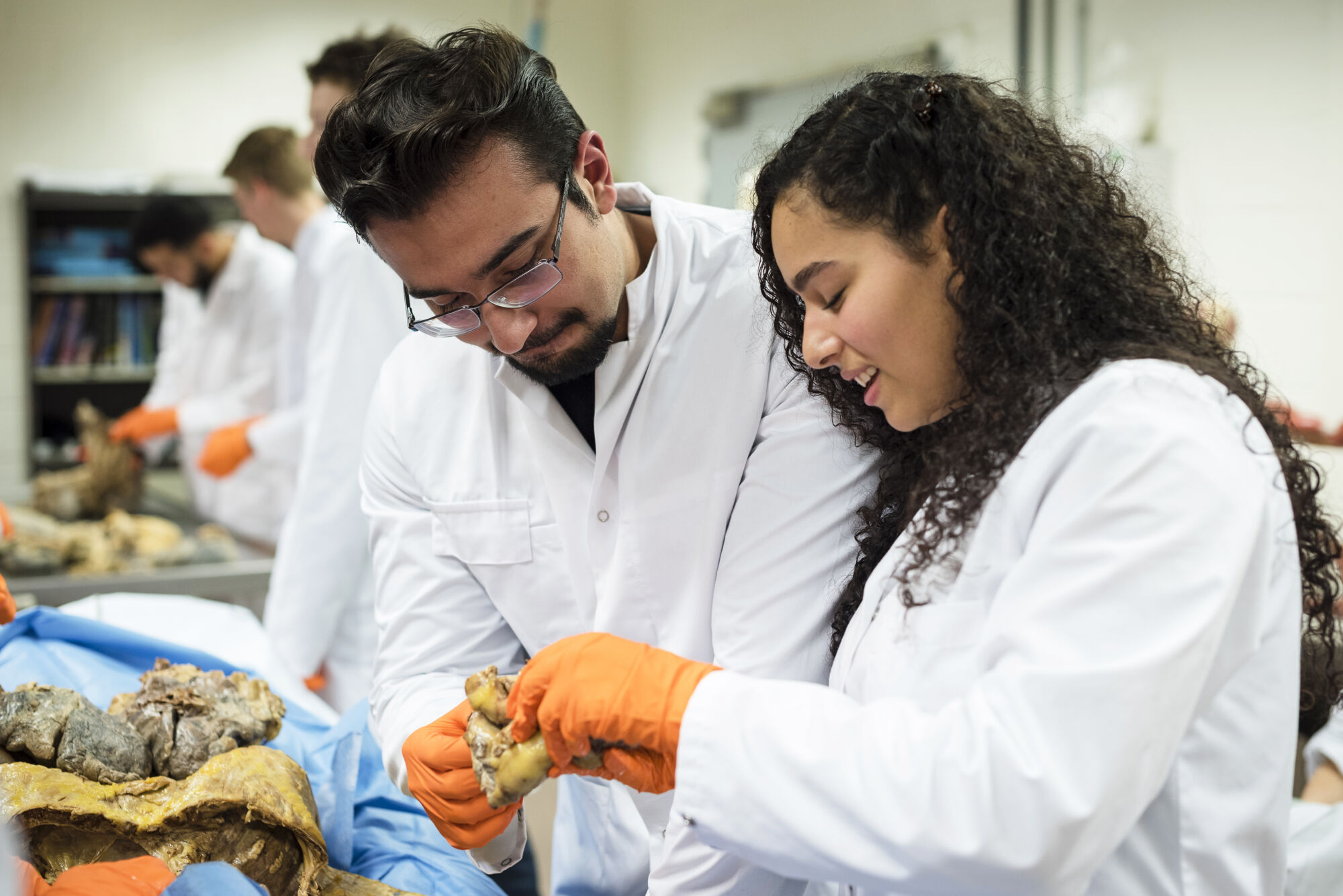 Anatomiepracticum geneeskunde (61).jpg