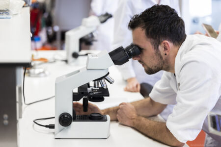 Parasitologie - 42.jpg
