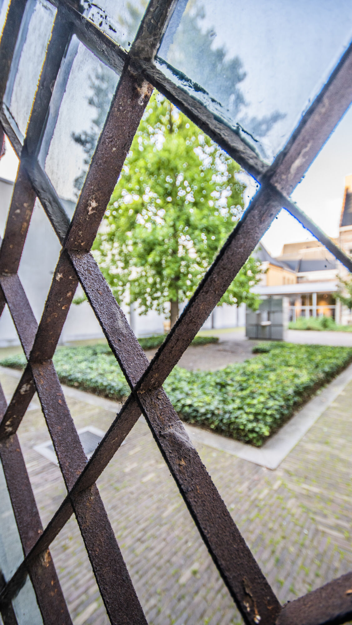 UAntwerpen (den Antwerpenaar) (9).jpg