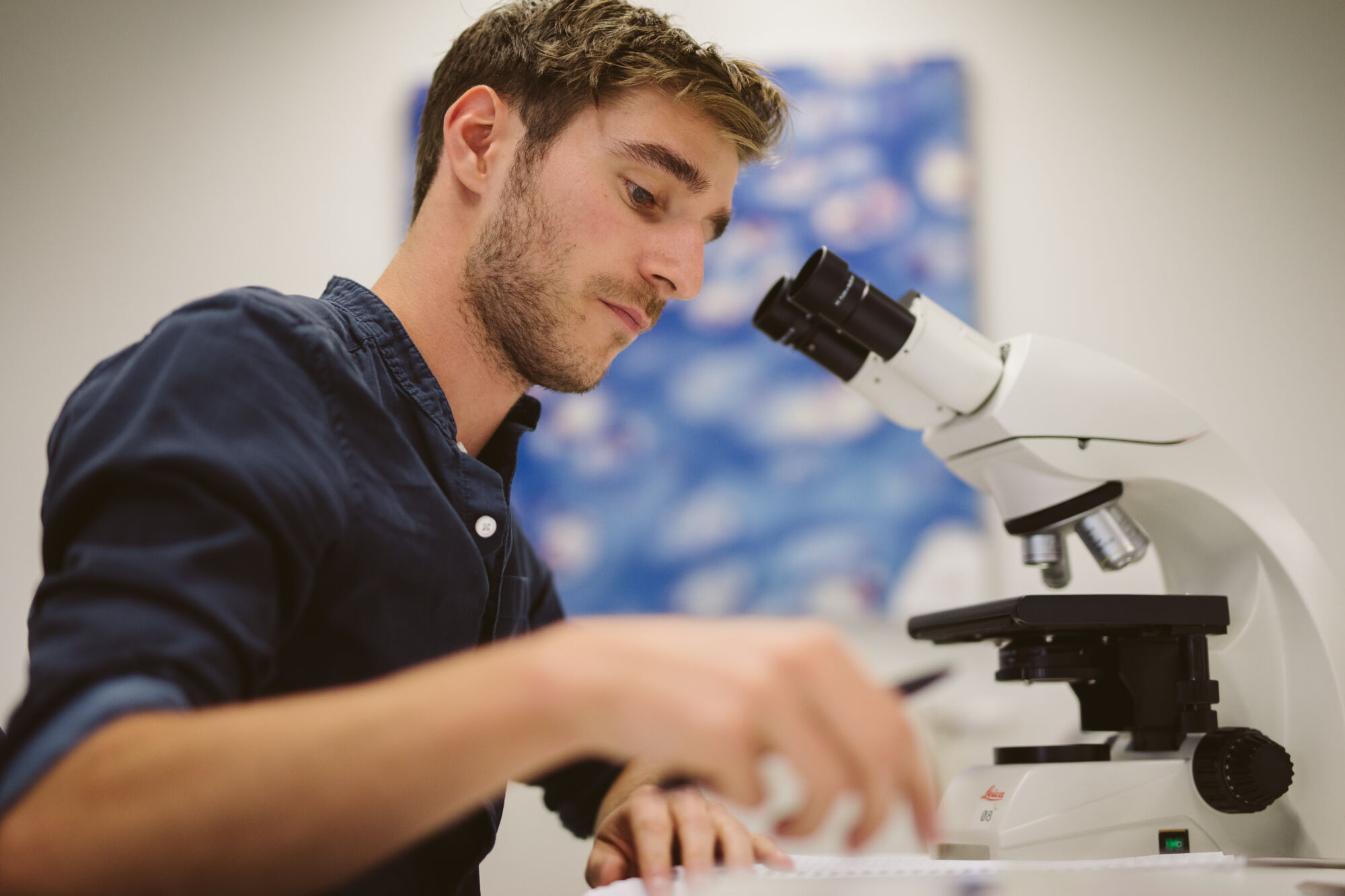 Long en nier practicum biomedische wetenschappen (18).jpg