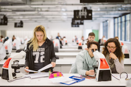 Long en nier practicum biomedische wetenschappen (13).jpg