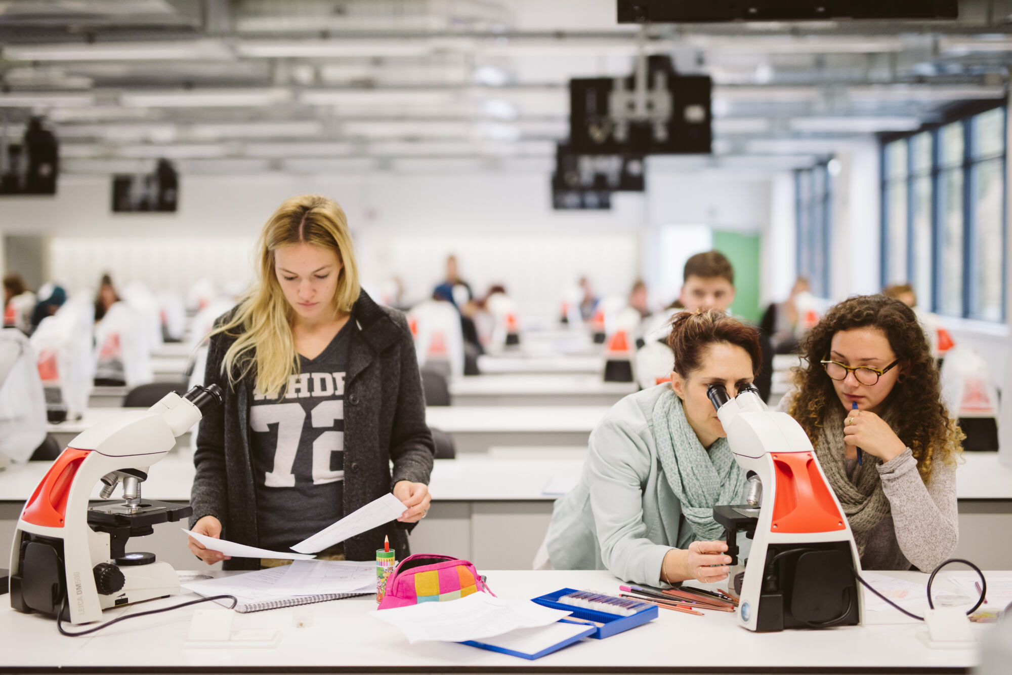 Long en nier practicum biomedische wetenschappen (13).jpg