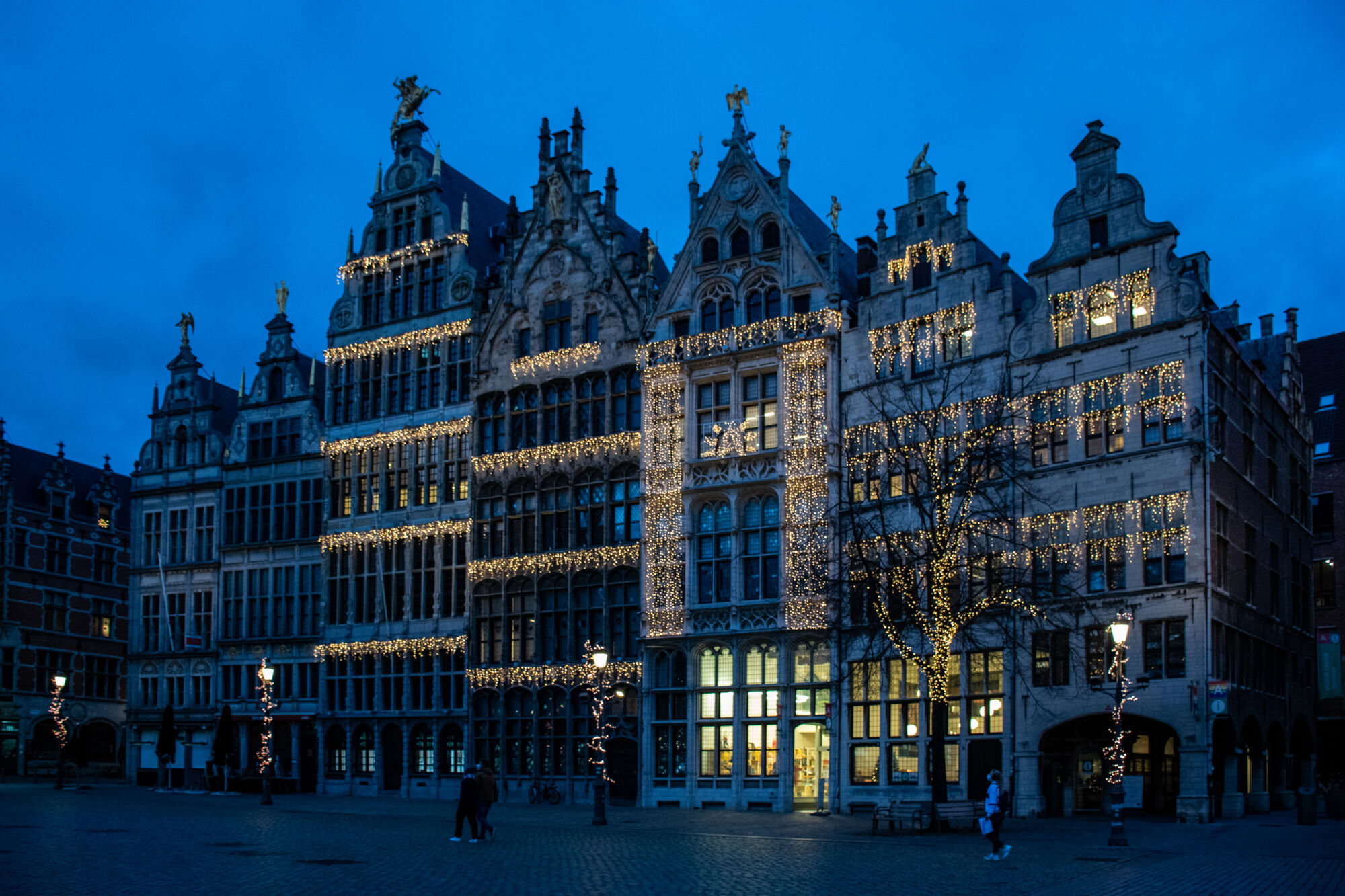 Antwerpen winter 2020 (89).jpg