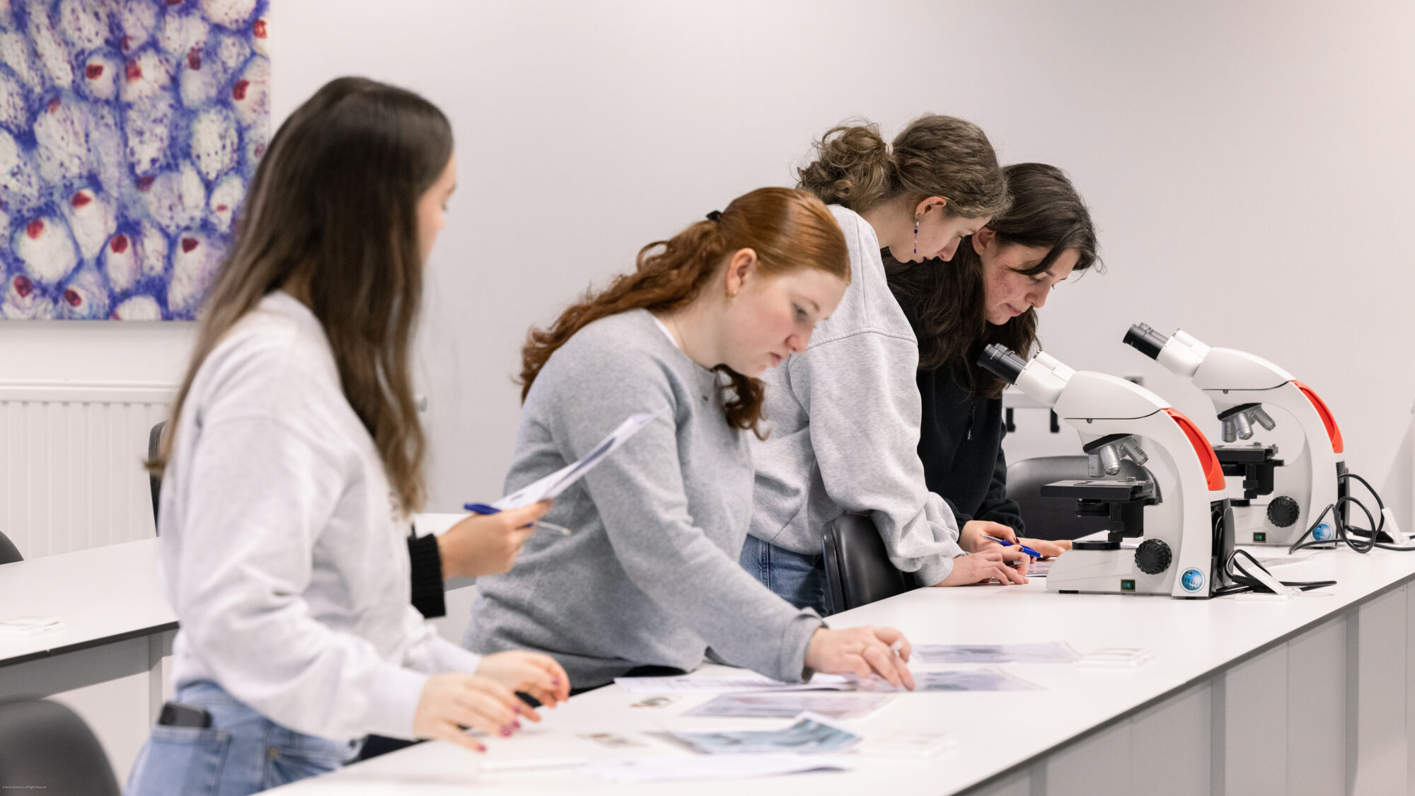 Campus Club 2025 - buitencampussen