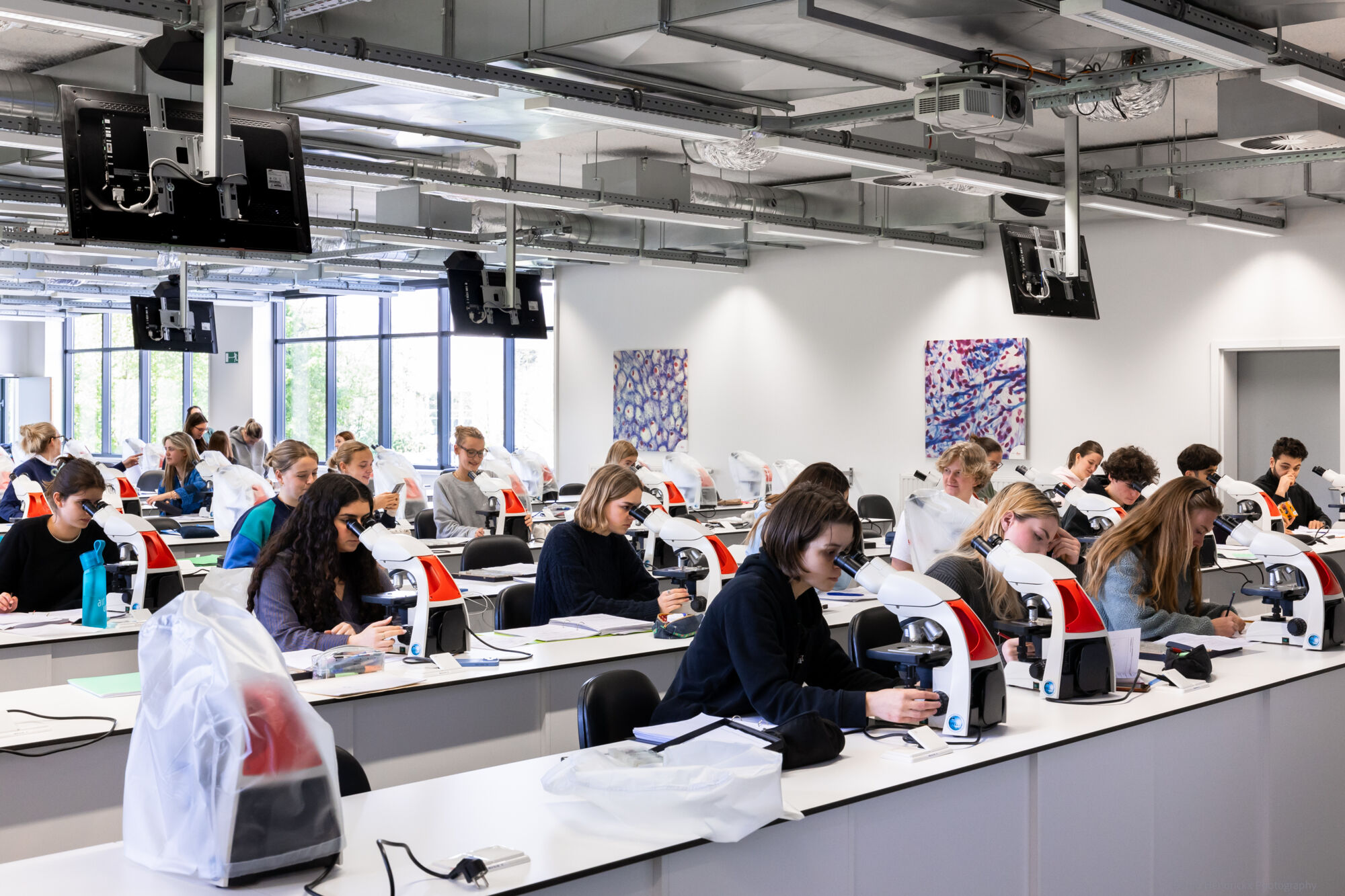 histologie-bachelorBMW-13.jpg