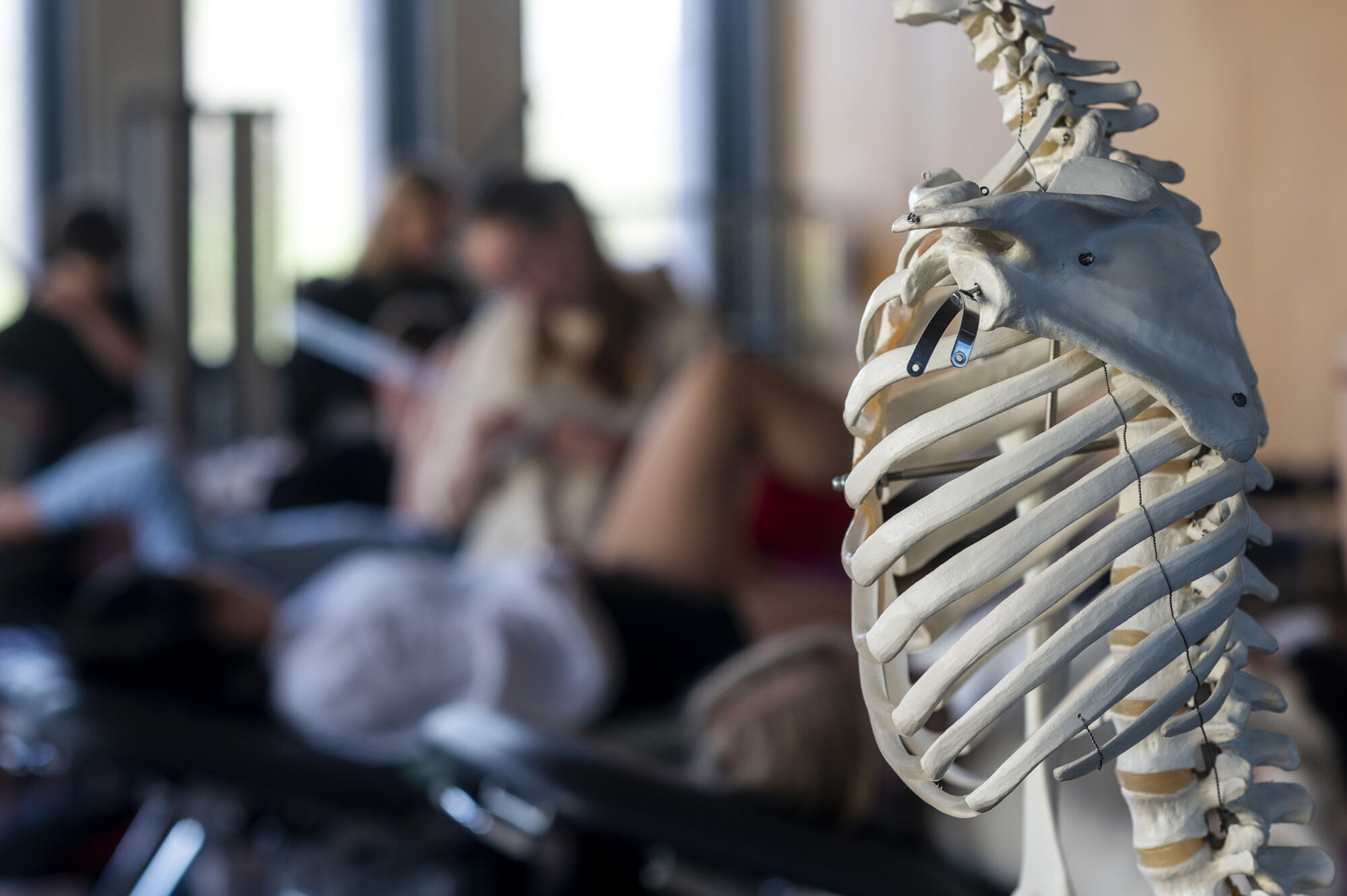 Basiskinesitherapie