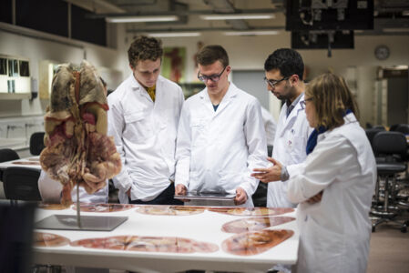 Anatomiepracticum geneeskunde (27).jpg