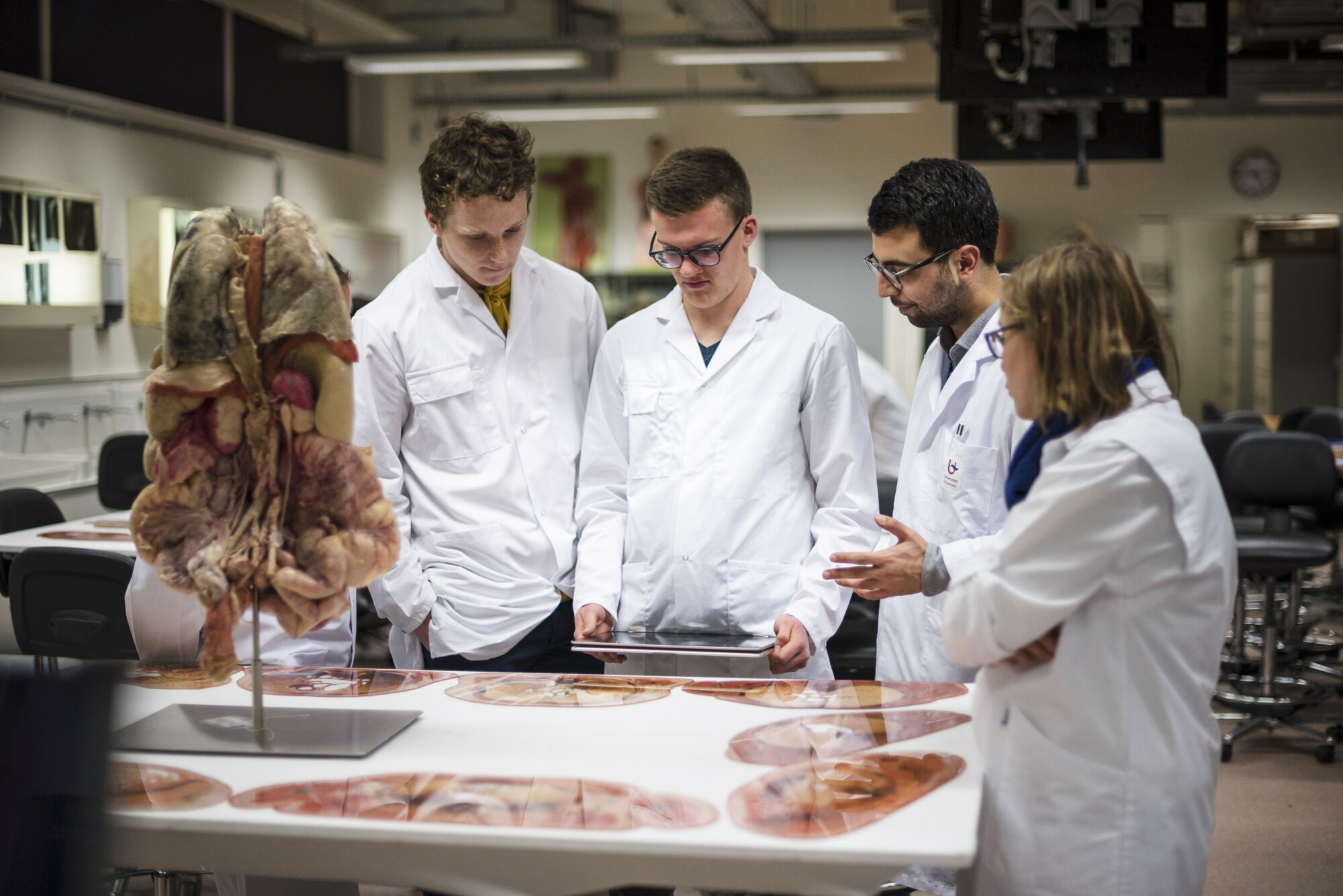 Anatomiepracticum geneeskunde (27).jpg
