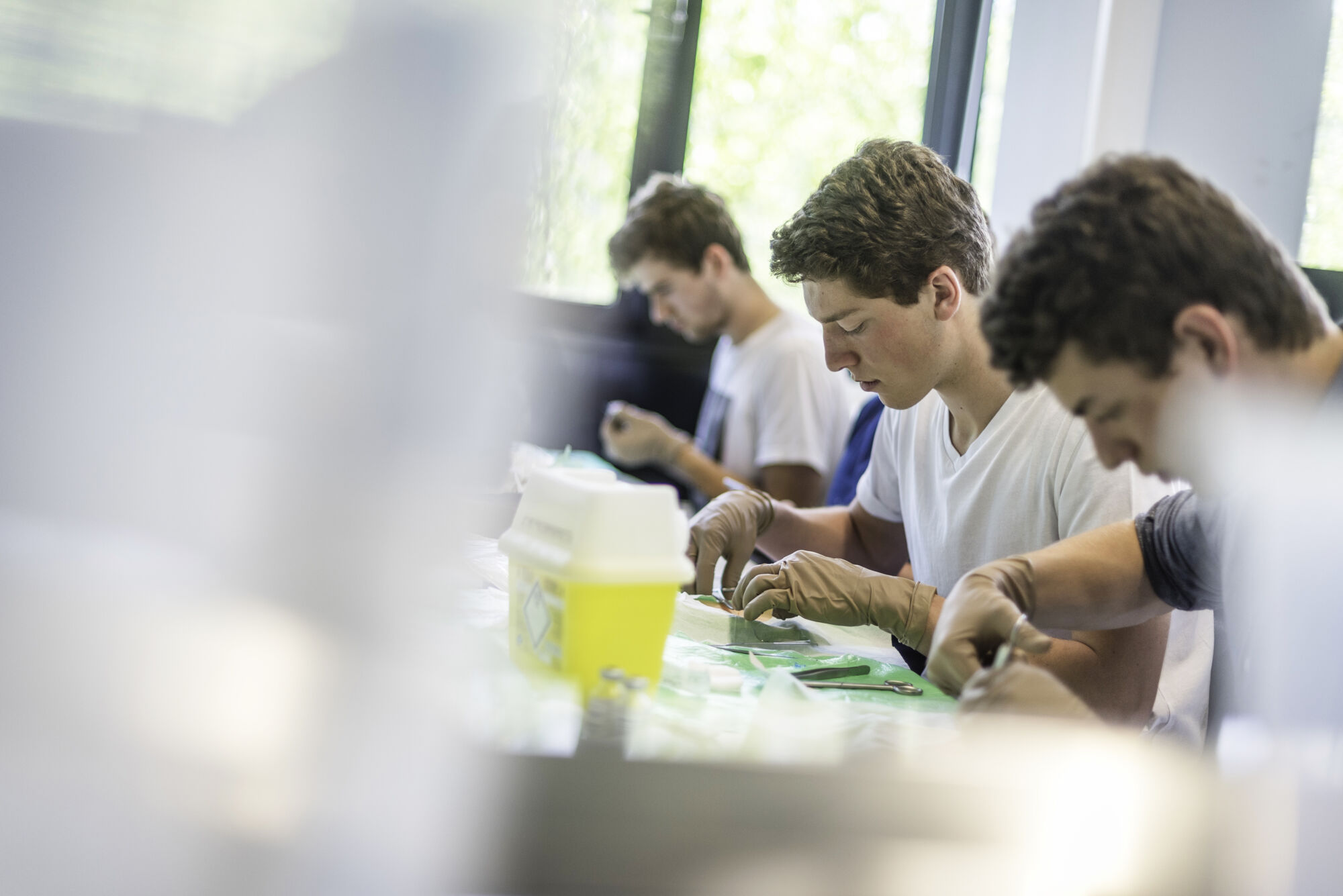 Geneeskunde - Practicum Hechten 2016 (30).jpg