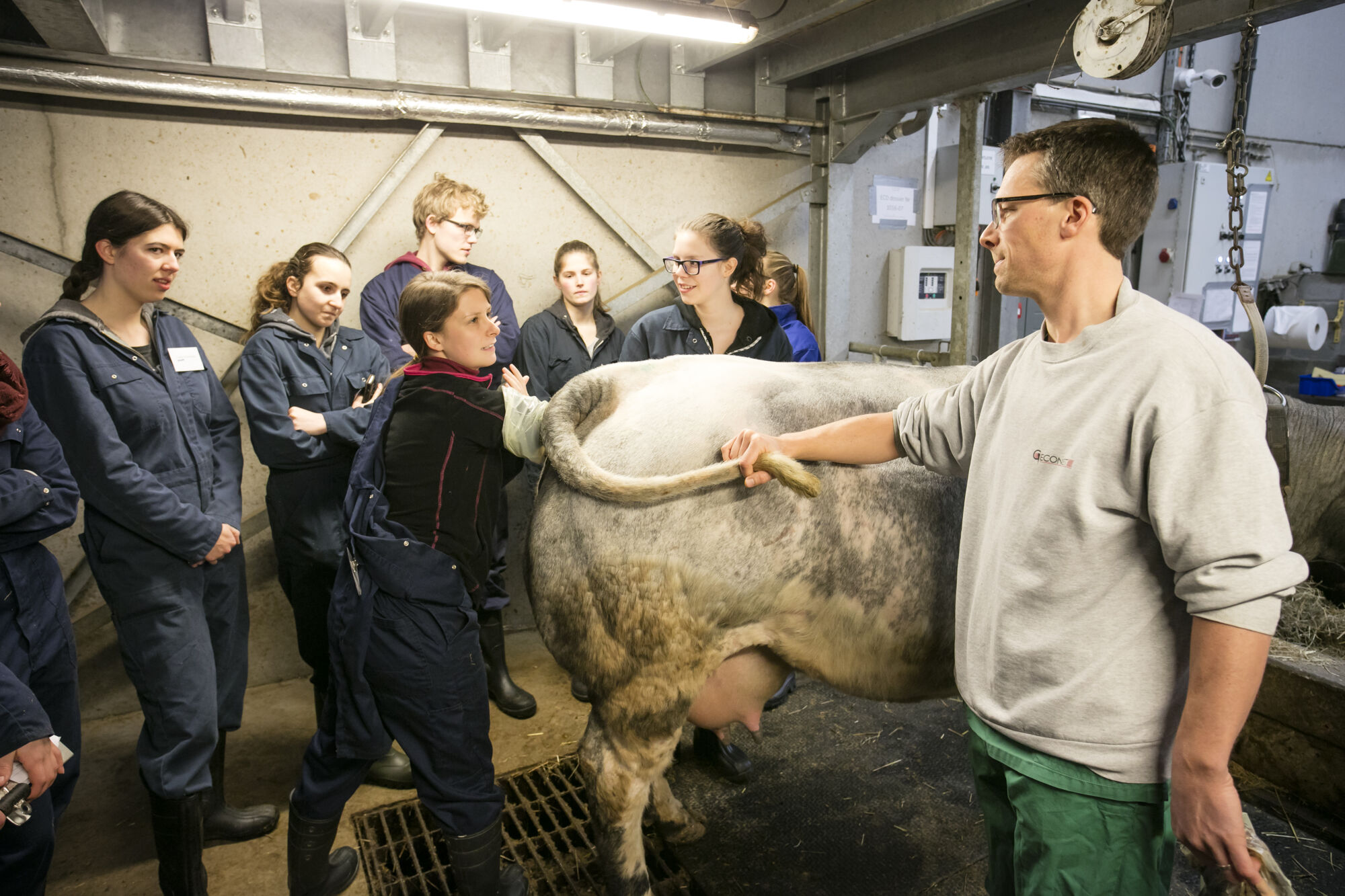 Studenten diergeneeskunde 2017 (7)