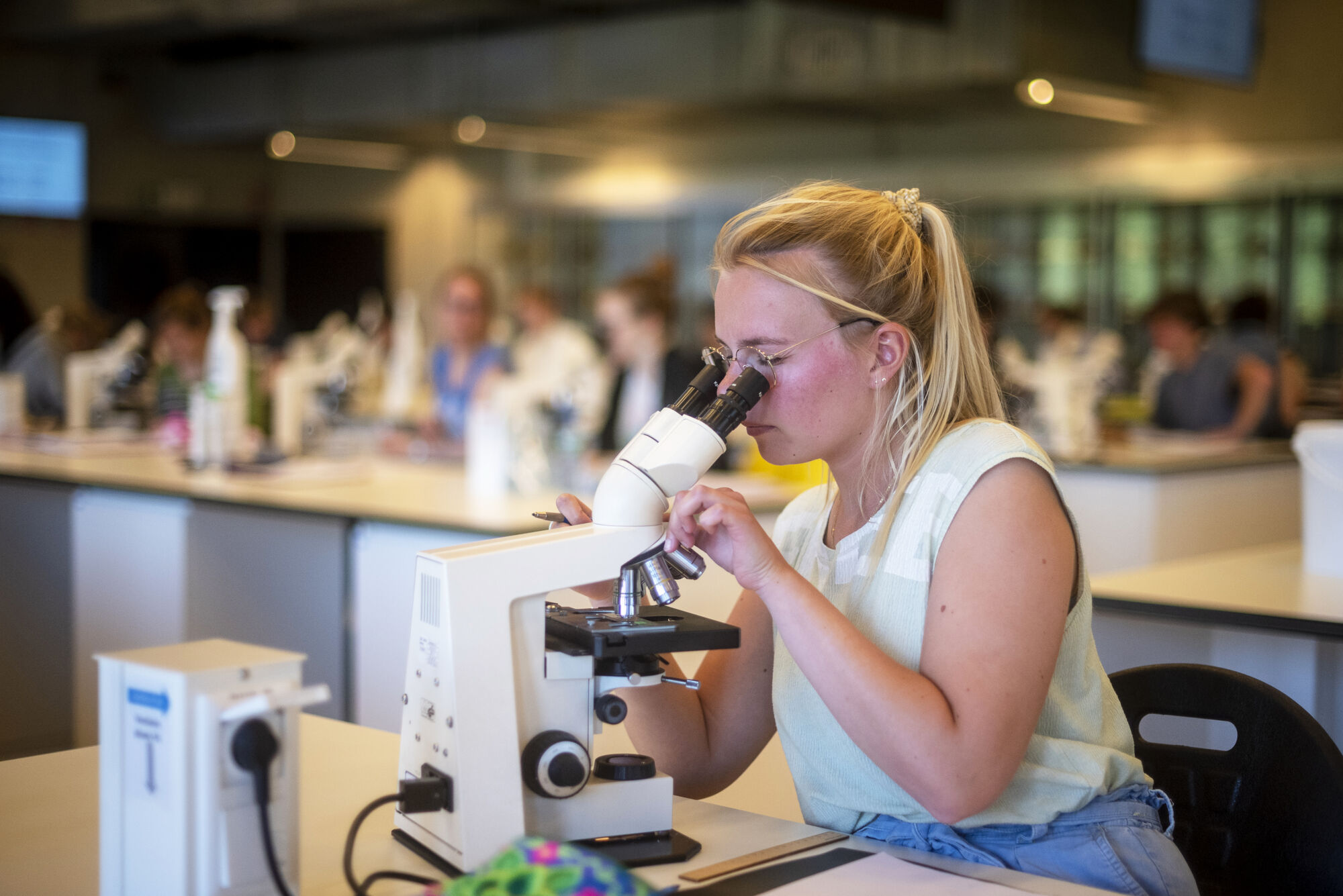 Biologie - Vorm en functie - Microscopie (3).jpg