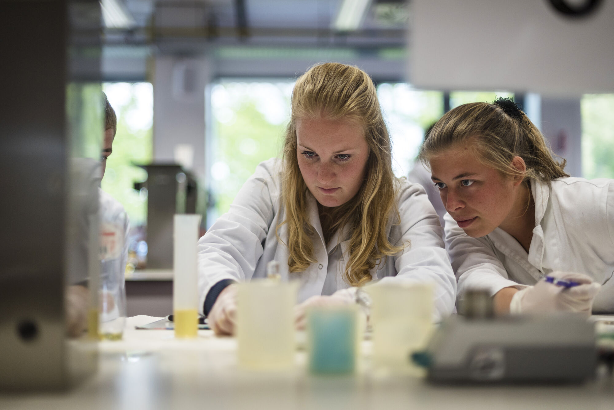 Practicum diergeneeskunde 2017 (02).jpg