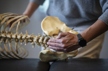 Musculoskeletal physiotherapy