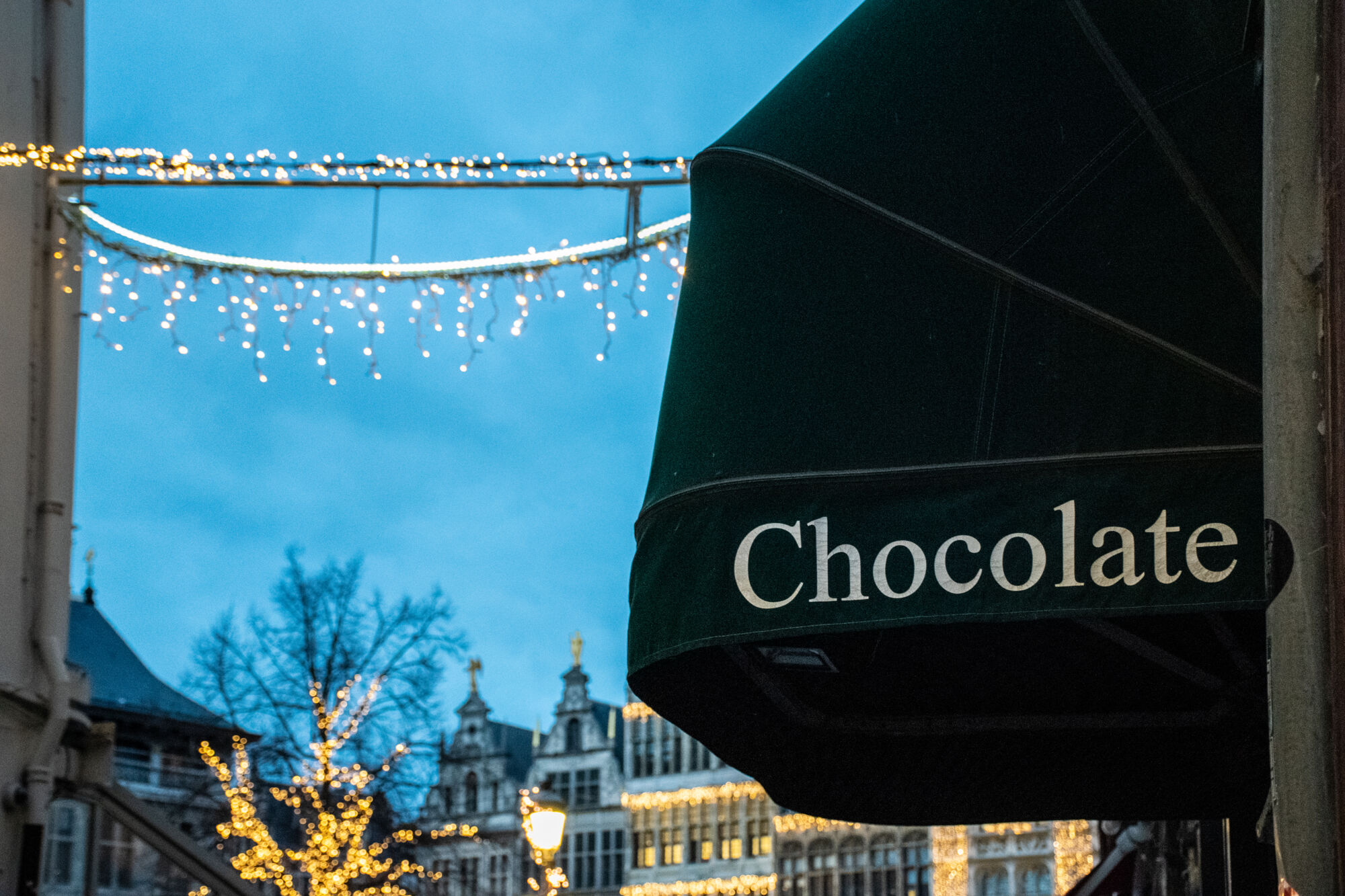 Antwerpen winter 2020 (88).jpg