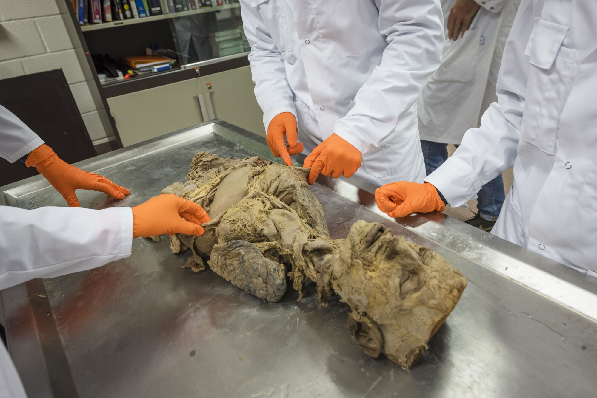 Anatomiepracticum geneeskunde (41).jpg