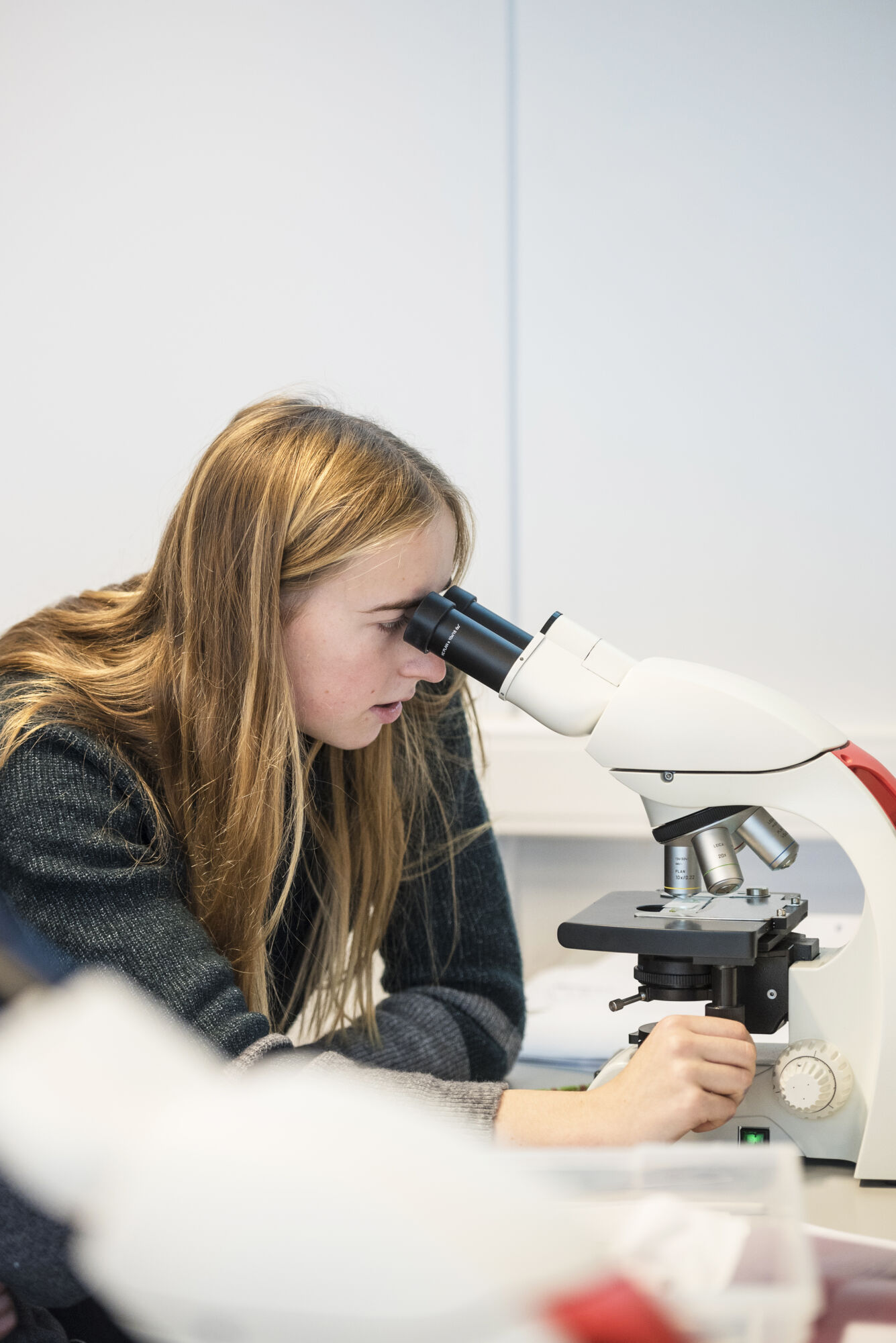 Bio-ingenieurswetenschappen practicum (10).jpg