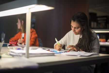 Studeren in de bibliotheek (01).jpg