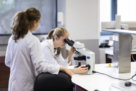 Parasitologie - 50.jpg