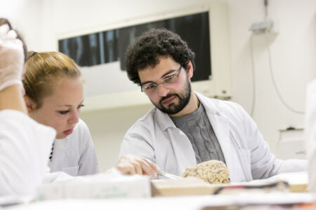 Neuro-practicum - biomedische wetenschappen (18)