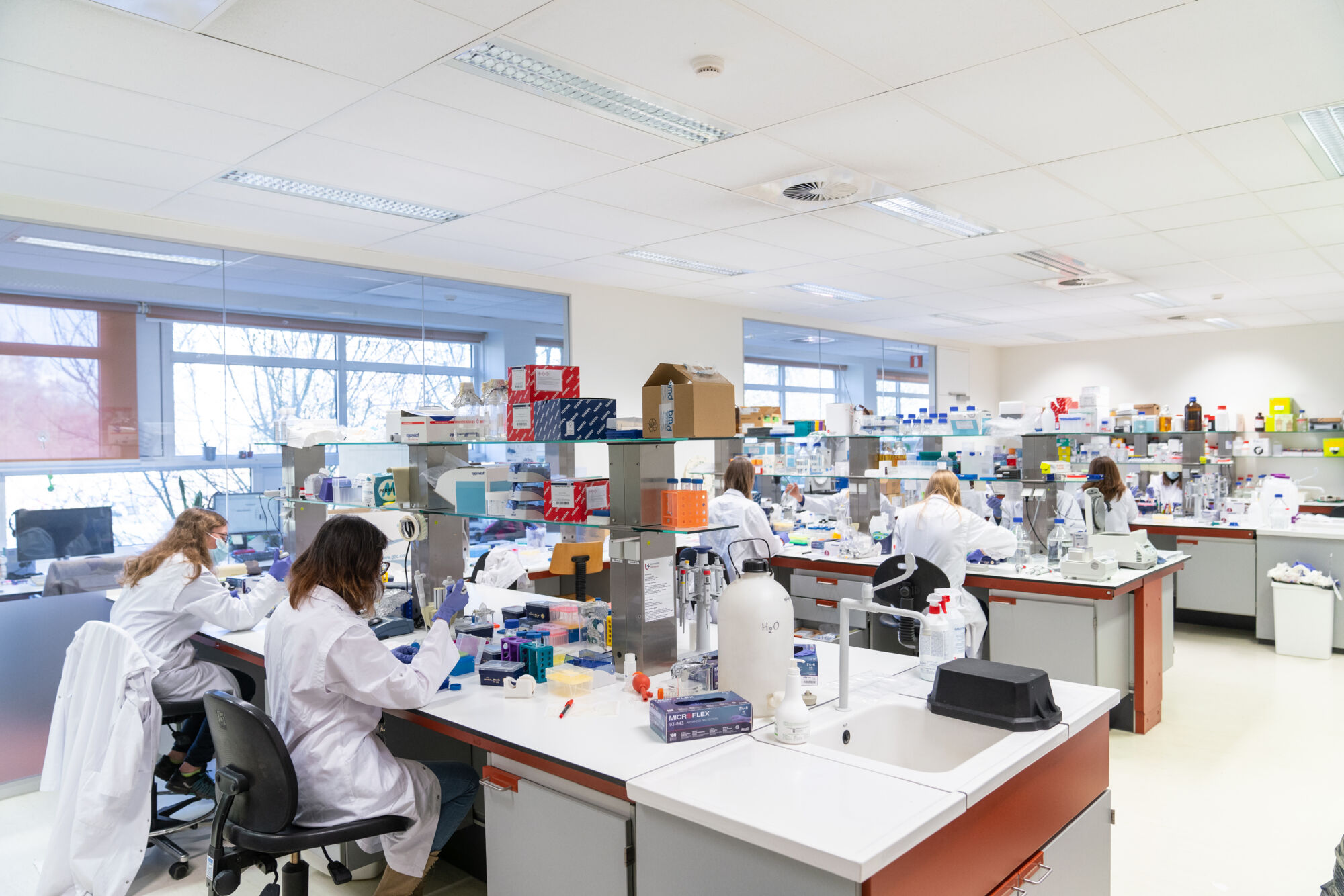 VIB Center for Molecular Neurology (37).jpg