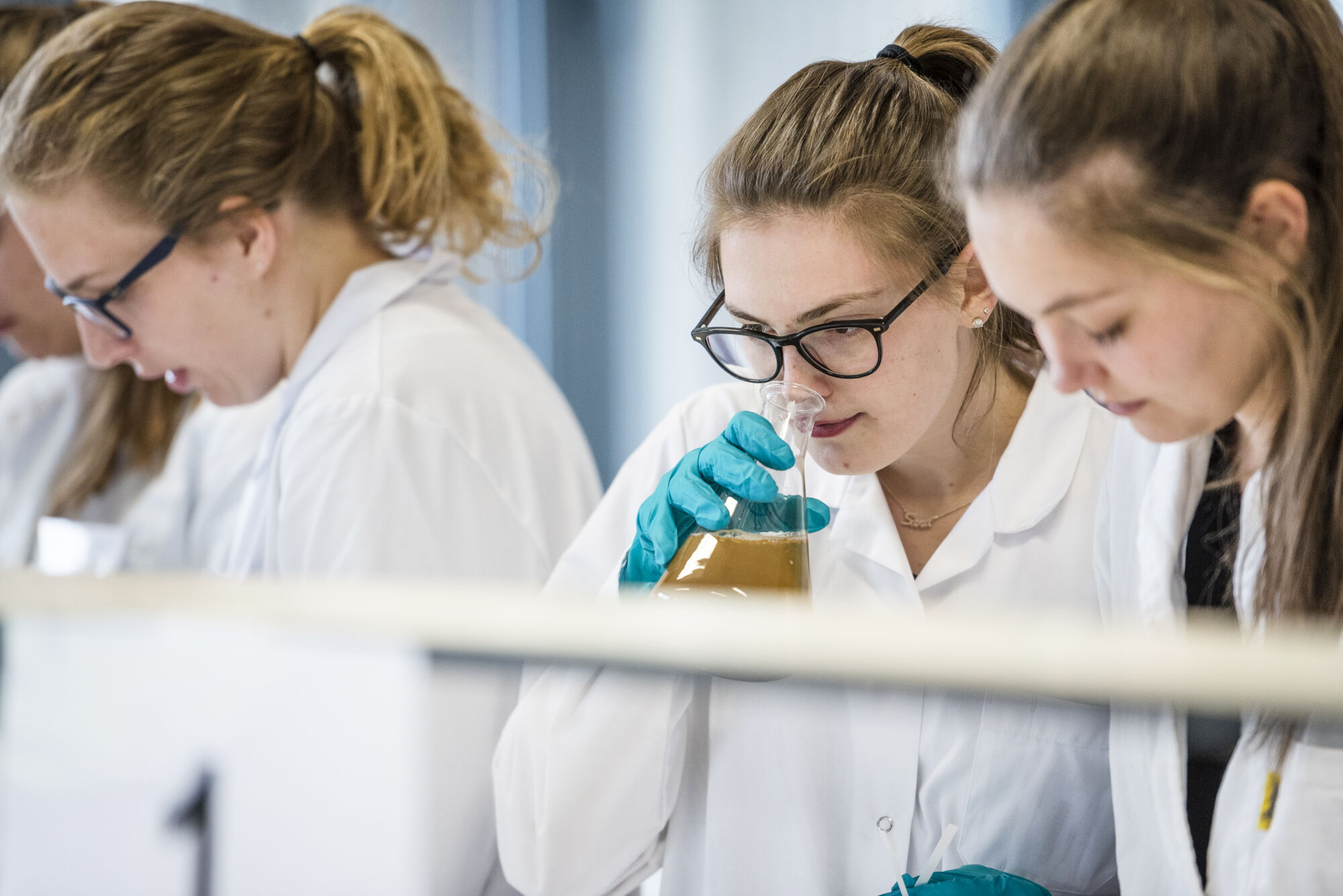 Practicum diergeneeskunde 2017 (31).jpg