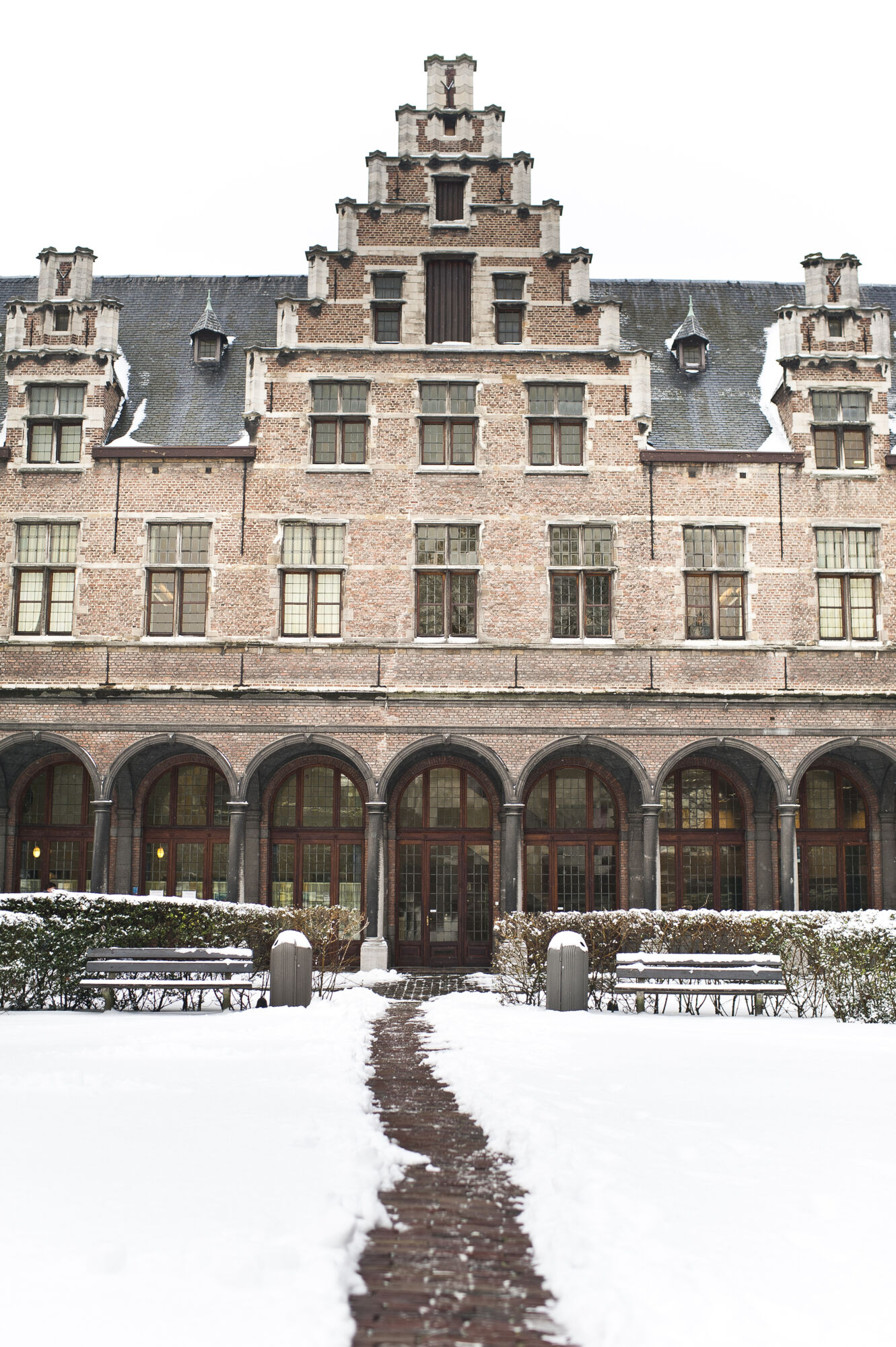 Sneeuwbeelden (0).jpg