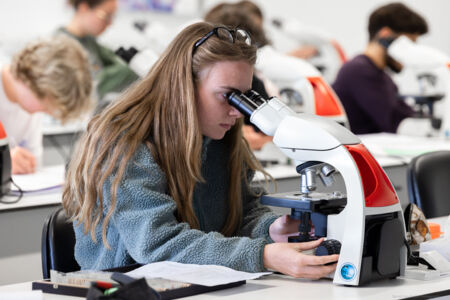histologie-bachelorBMW-22.jpg